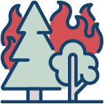 icon_150x150_forest-mitigation