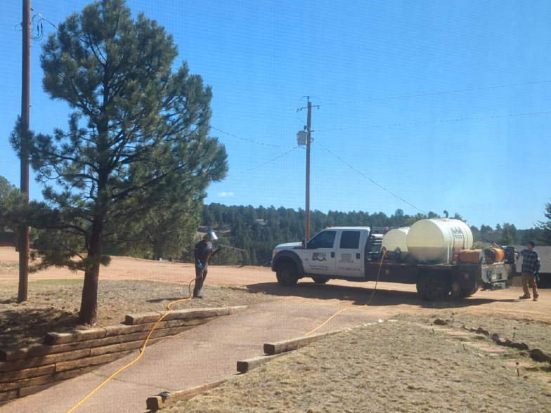 img_784x588_local-tree-sservice-you-can-trust